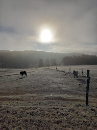 Photo n°16 de La Cavalerie du Lac à Sembadel (Centre équestre)