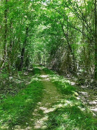 Cole Creek nature trail