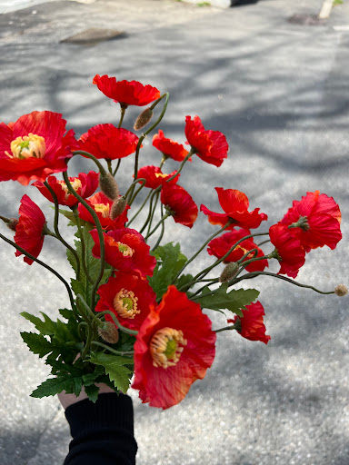 Stefania Vullo Fiori Artificiali
