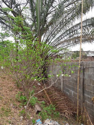 Photos of Somaly Guesthouse