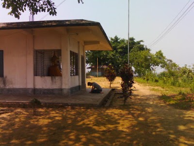 Photos of ফুরমোন পাহাড় বোদ্ধ মন্দির, buddist temple
