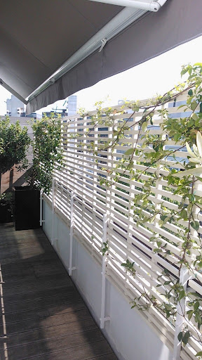 Trellis Direct - Visual