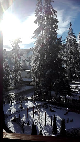 https://icebergborovets.com/