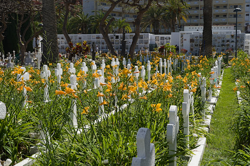 Cementerio Municipal de San Carlos - Thumbnail