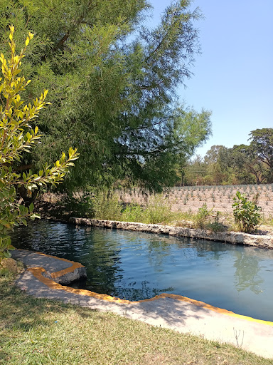 Balneario Las Pilitas de Agua Caliente de Ahuisculco, Jal. - Thumbnail