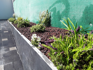 Photo n°10 de Armor Garden à Trédion (Paysagiste)