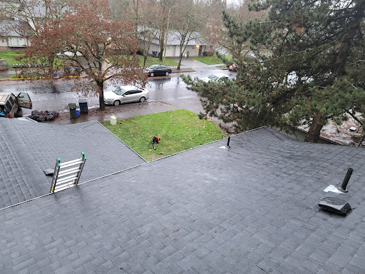 Prohome Roofers - Thumbnail