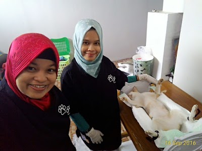 Photos of dokter hewan Balikpapan / drh.Upi / drh. Juli Catur Palupi