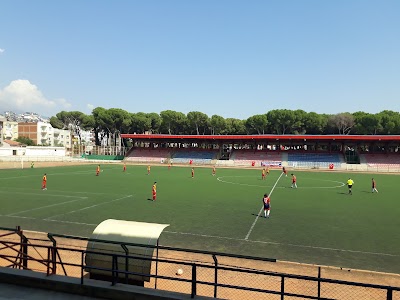 Ödemiş Saraçoğlu Stadyumu