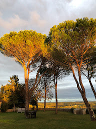 Photo n°26 de Chateau Pech de Jammes à Flaujac-Poujols (Vignoble)