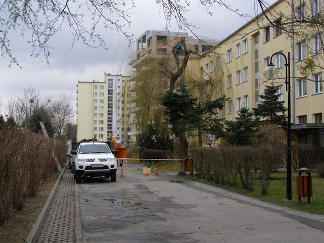 Zakład Pielęgnacji Drzewostanu - Wycinka drzew, ścinanie alpinistyczne Warszawa
