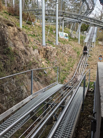 Rowdy Bear Mountain Coaster