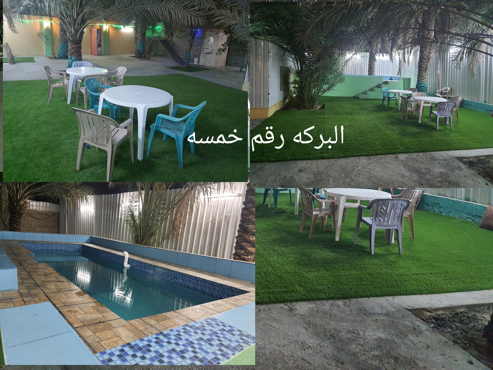 برك الدالوي للسباحه - صورة 2