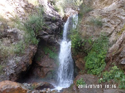Photos of پارك جنگلي توسكا