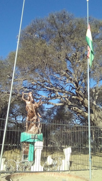 Photos of Bosque De Algarrobos Tiataco