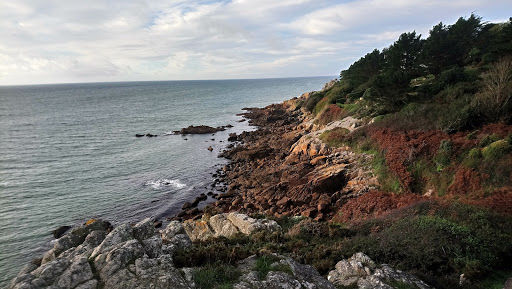 Café L'île Verte - Thumbnail