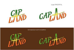 Photo n°11 de Cap Land - Restaurant Antillais, Créole à proximité de Toulouse à Ramonville-Saint-Agne (Livraison de repas à domicile)