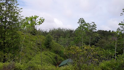 Photos of Kottawa Nagaaranya