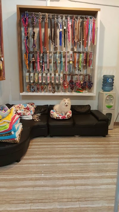Photos of VK DOG GALLERY