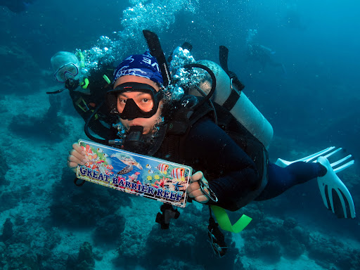 Quicksilver Dive - Visual