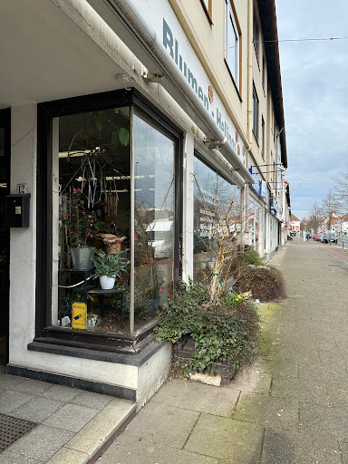 Blumen Hellings - Visual