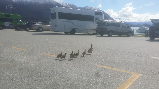 Wanaka