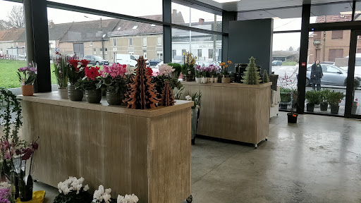 Fleurs Berthaut - Thumbnail