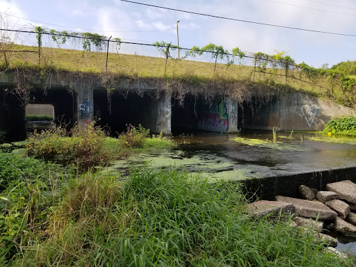 Shadow Run Dam Gallery - United States