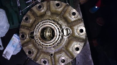 Photos of GRUAS FLORES