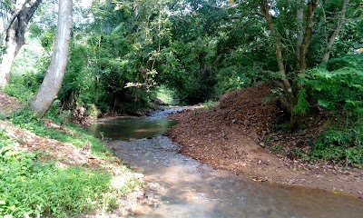 Photos of Panamure Elephant Kraal