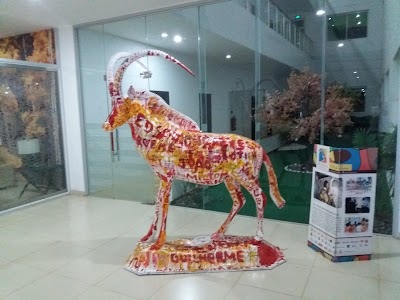 Photos of Hotel Regina II