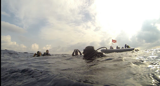 Ortigia Diving - Visual