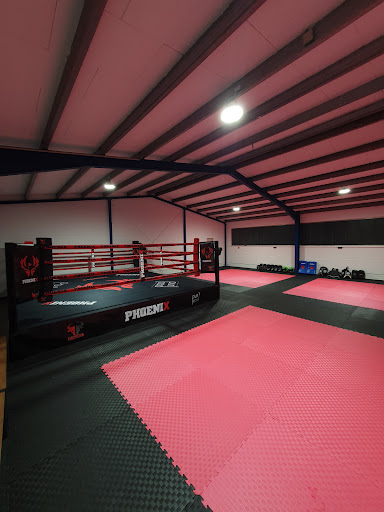 PHOENIX Kickboxen Neumarkt - Thumbnail