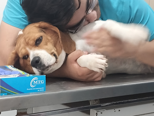 Clínica veterinaria Blue Vet
