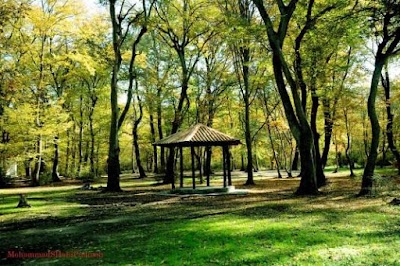 Photos of Qoroq Deer Park
