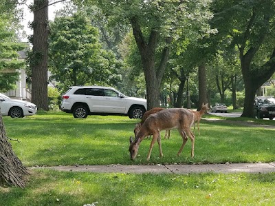 Washington Commons Park