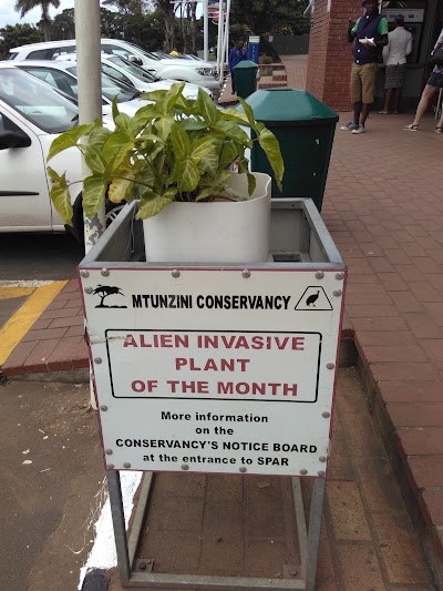 Photos of Mtunzini Spar