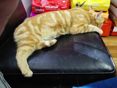 Photos of Newton Park Animal Hospital