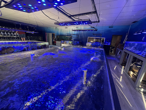 PNC Fish and More - Thumbnail