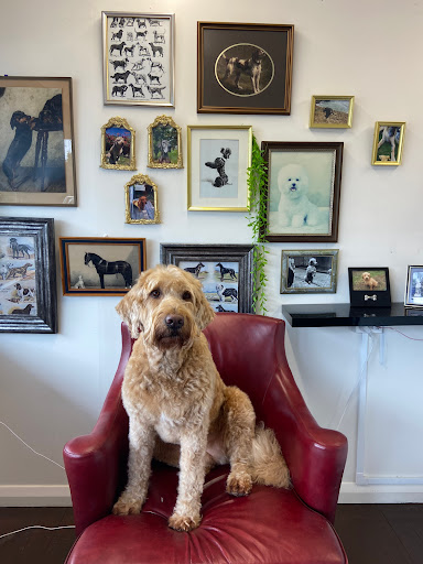 Barker's Boutique Dog Grooming - Thumbnail
