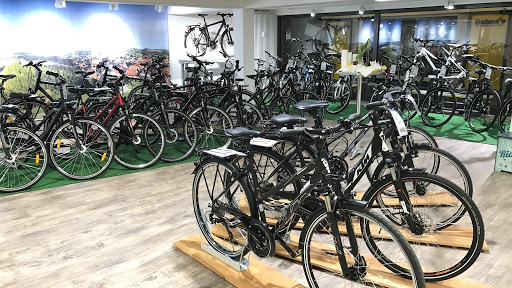 Fahrrad Hahne - Thumbnail