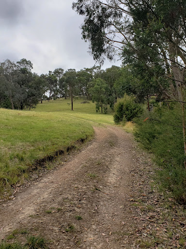 Warrandyte - Kinglake Nature Conservation Reserve - Meadow