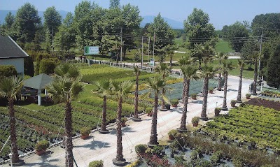 Photos of Serbestler Peyzaj