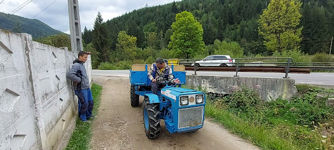 orar Comuna Albac