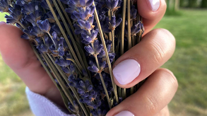Nagelstudio Beauty Nails Marion Leitner