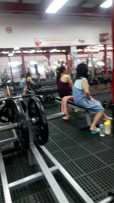 Photos of Marramba Bodybuilding Gym