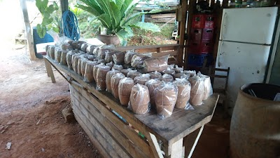 Photos of El Trapiche de Pemo