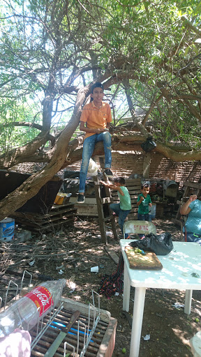 Parque Ecológico "El Hoyon Tierra Blanca" Gallery - Mexico