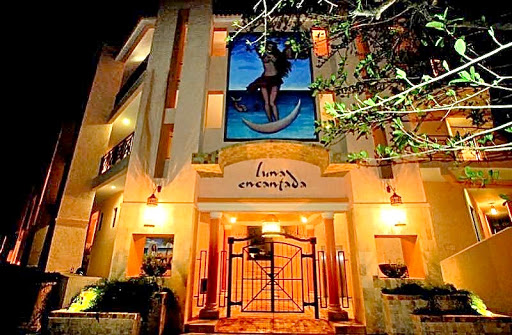 Playa Luxury Rentals