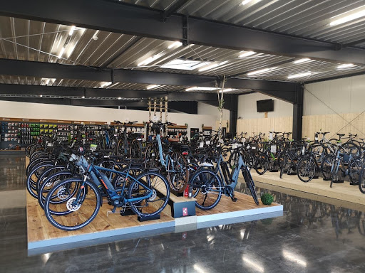 BIKEpoint Wiesner Hoyerswerda Gallery - Germany